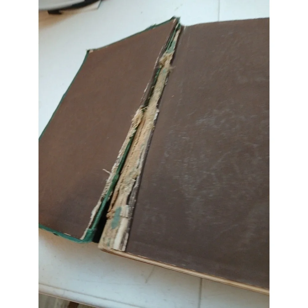 1869 TRIED AND TRUE OR LOVE AND LOYALTY Great Rebellion Mrs. Spencer Civil War